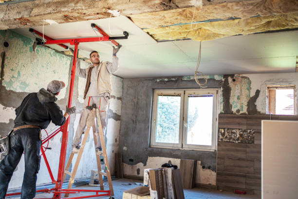 Best Attic Insulation Installation  in Hargill, TX