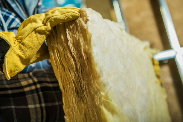 Best Spray Foam Insulation  in Hargill, TX