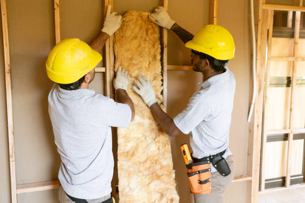 Best Spray Foam Insulation  in Hargill, TX