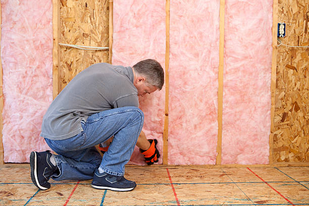 Best Insulation Replacement Services  in Hargill, TX